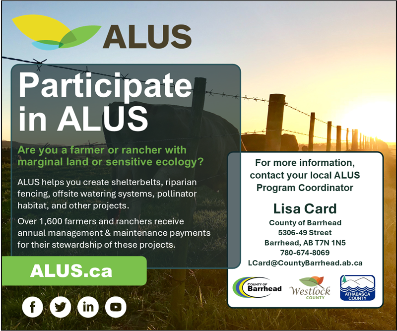 ALUS_Ad_-_Square_(1)_(ID_33272)