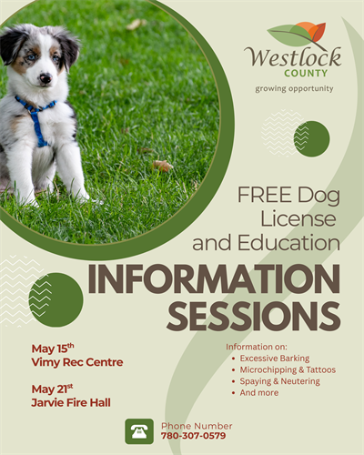 Dog_Information_Session