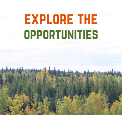 Explore the Opportunities