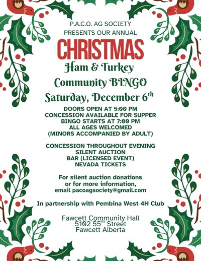 Green_and_Red_Illustrative_Christmas_Bingo_Party_Flyer