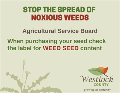 Noxious Weed Control